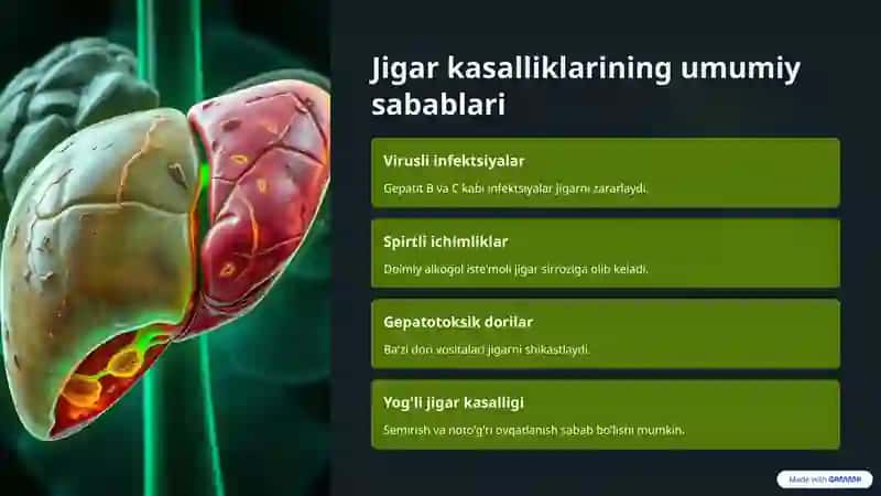Jigar faoliyatiga ta'sir ko'rsatuvchi vositalar 2