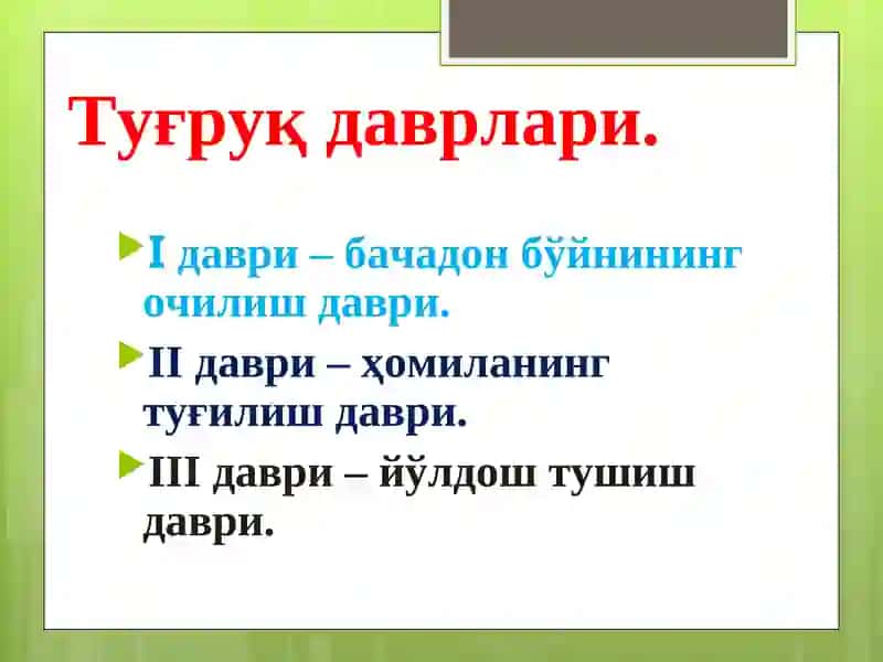 Туғруқдаврлари 2