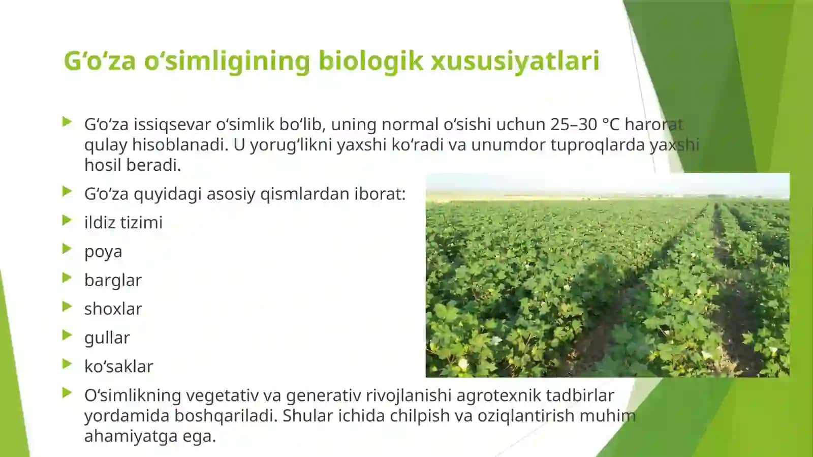 G‘O‘ZANI CHILPISH VA MINERAL OZIQLANTIRISH 2