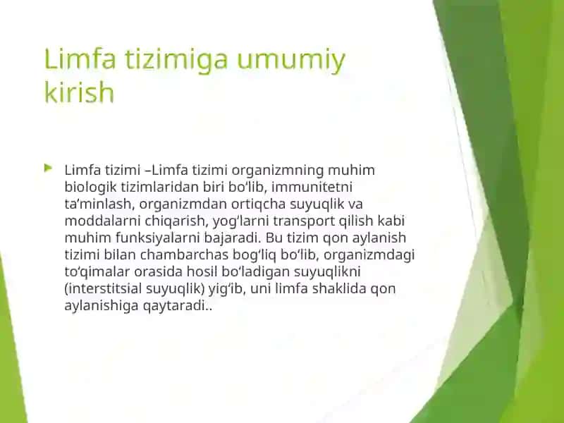 Limfa tizimi 2