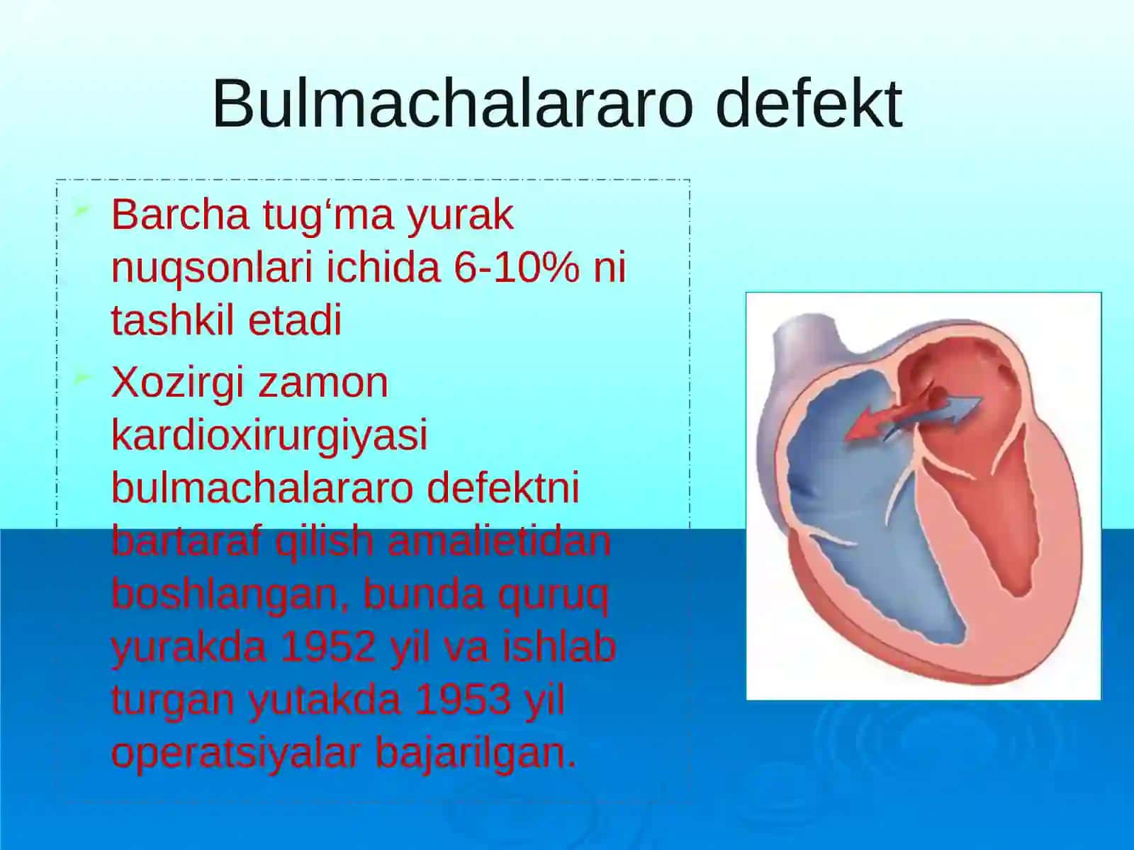 Yurak tuzilishi, yurakning o’tkazish sistemasi 2