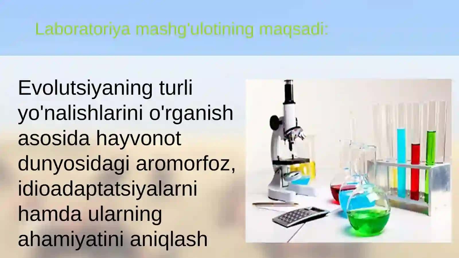 Umurtqali hayvonlarda aromorfoz va idioadaptatsiya 2
