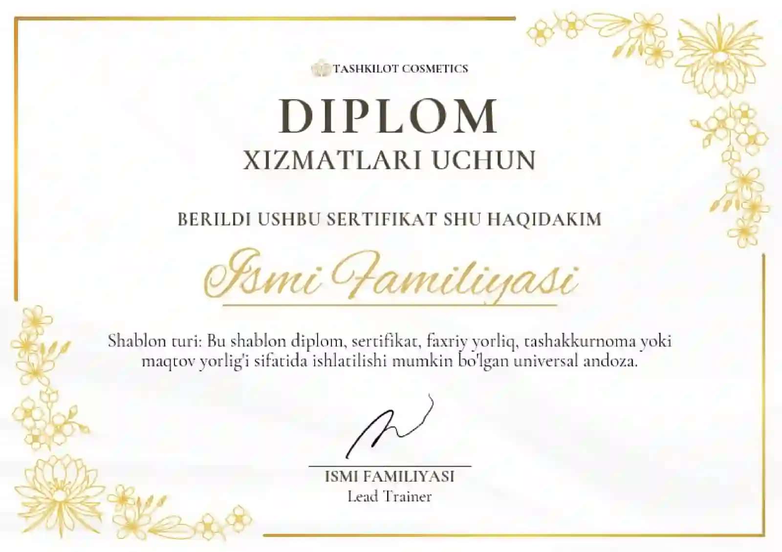 DIPLOM 2