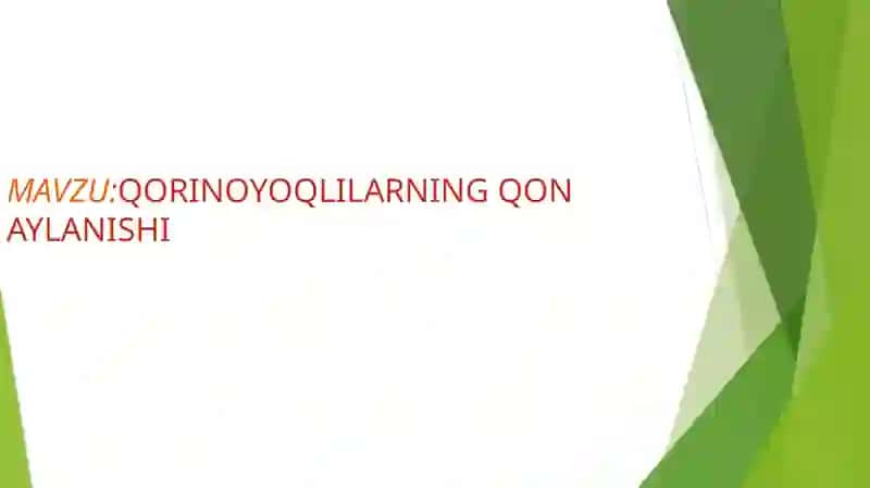 QORINOYOQLILARNING QON AYLANISHI 2