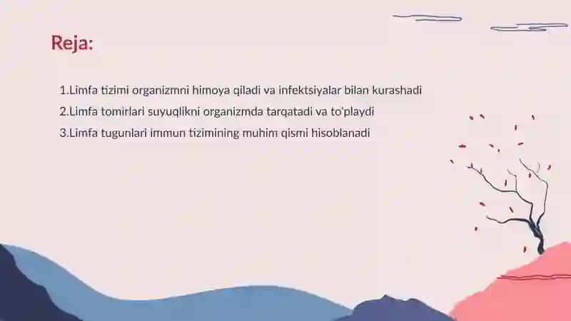 Limfa sistemasi 2
