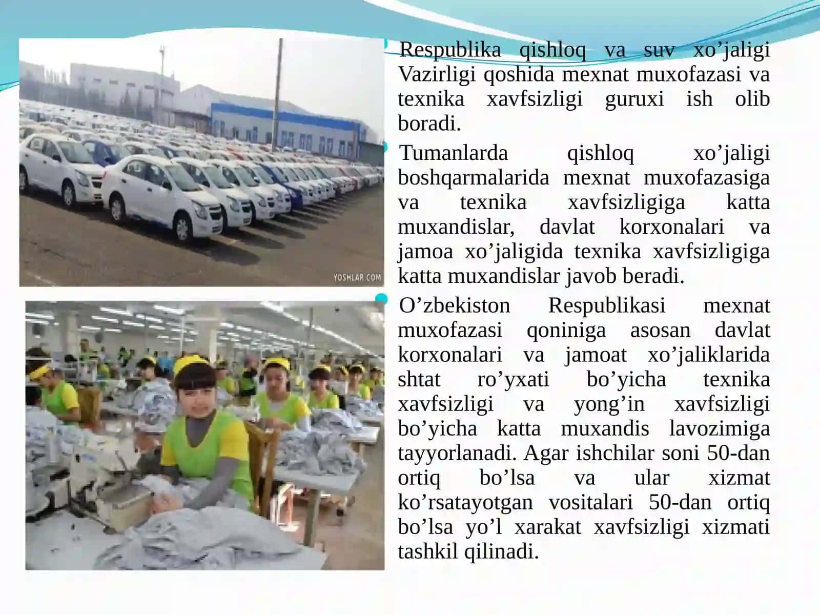Mexnat xavfsizligini tashkil etish va uning tuzulishi 2