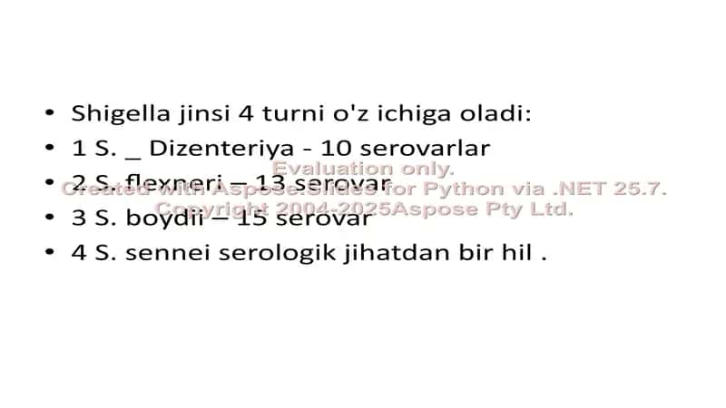 Shigella 2