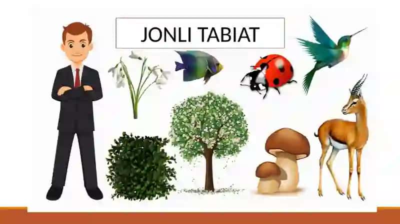 JONLI TABIAT 2