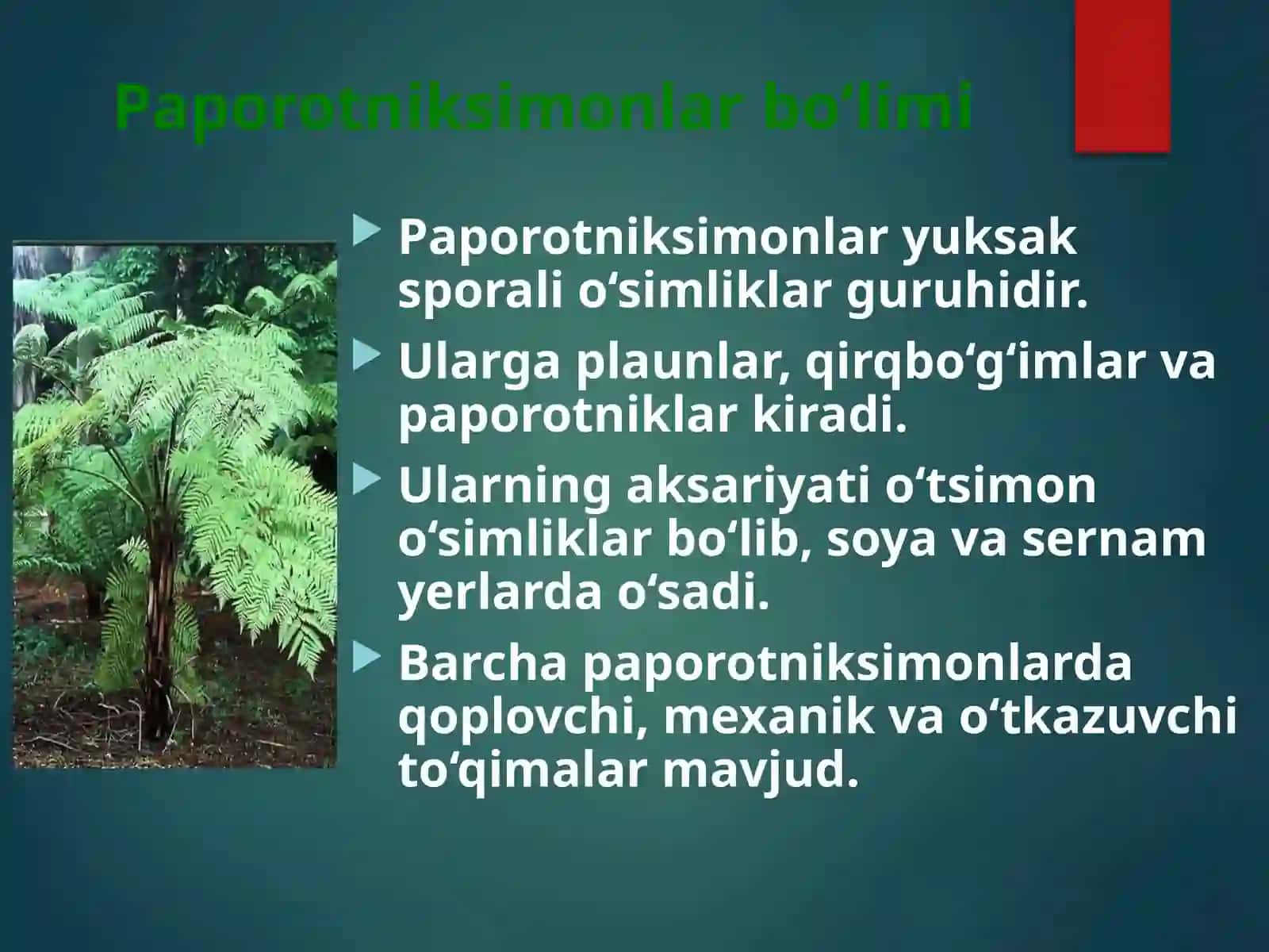 PAPOROTNIKLAR 2