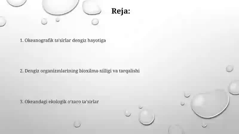 Dunyo okeanidagi dengizlarning organzimlari va biologik tuzilish qonunlari 2