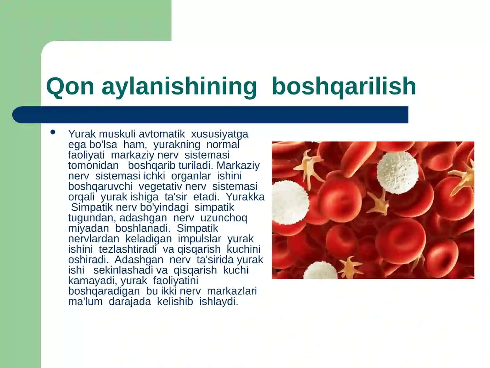 Qon tizimining yoshga oid xususiyatlari va gegiyenasi 2
