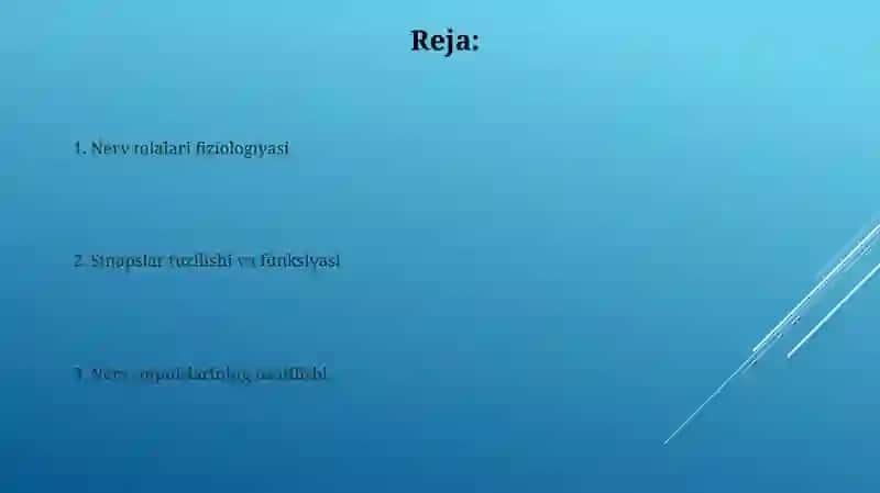 Nerv tolalari va sinapslar fizologiyasi 2