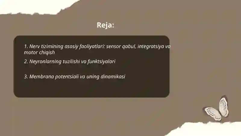 Nerv tizimining asosiy faoliyati. Sinapslar 2