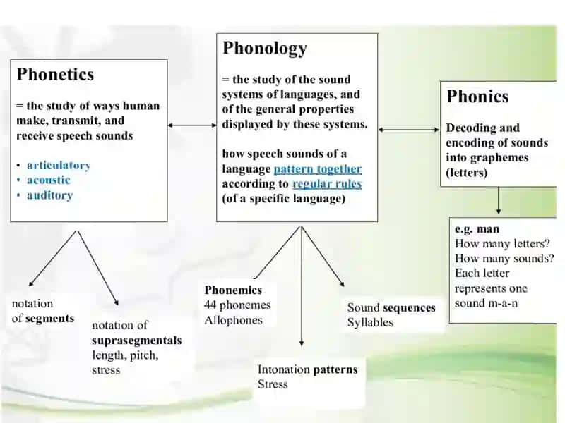 phonetics in English 2
