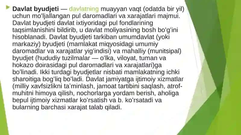 davlat byudjeti mohiyati 2