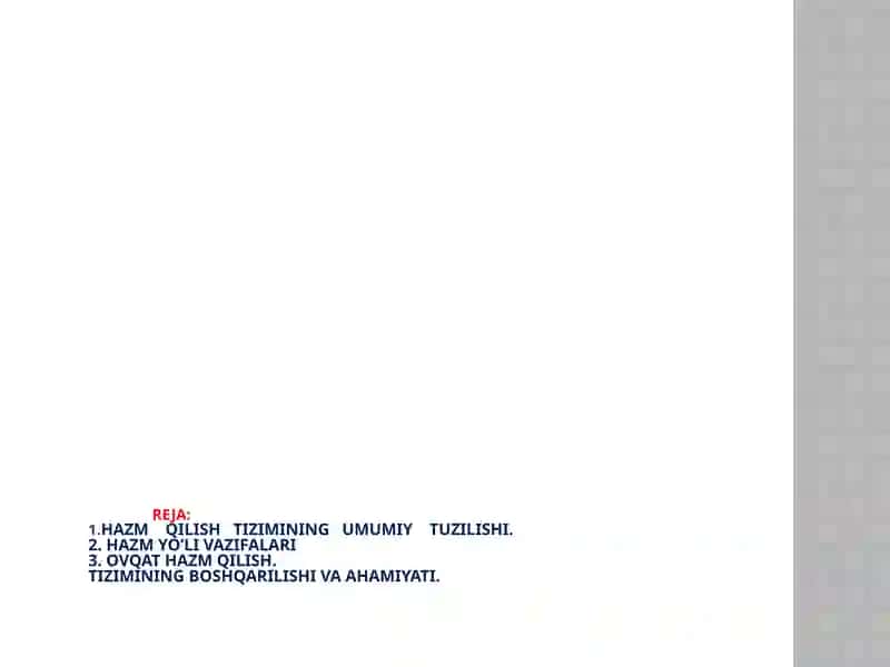 OVQAT HAZM QILISH ORGANLARINING TUZILISHI 2