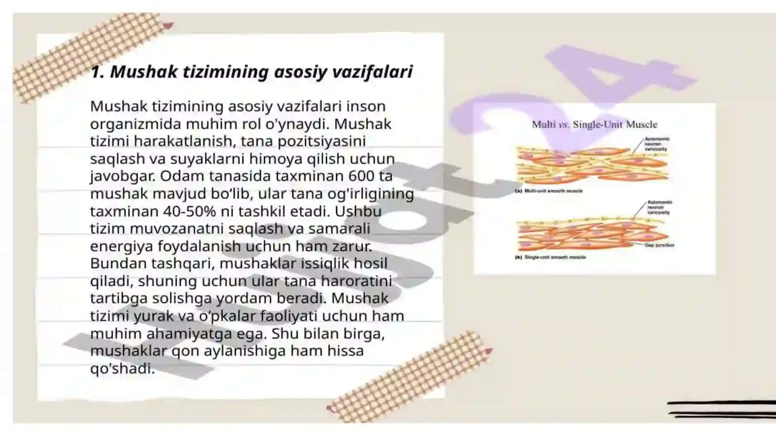 Mavzu:Mushaklar to'g'risida umumiy ma'lumotlar. Mushaklar fiziologiyasi 2