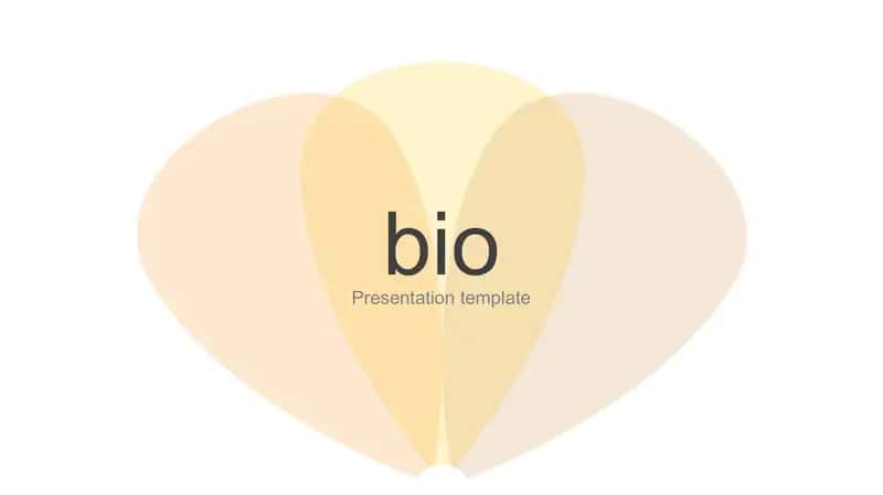 Presentation template 2