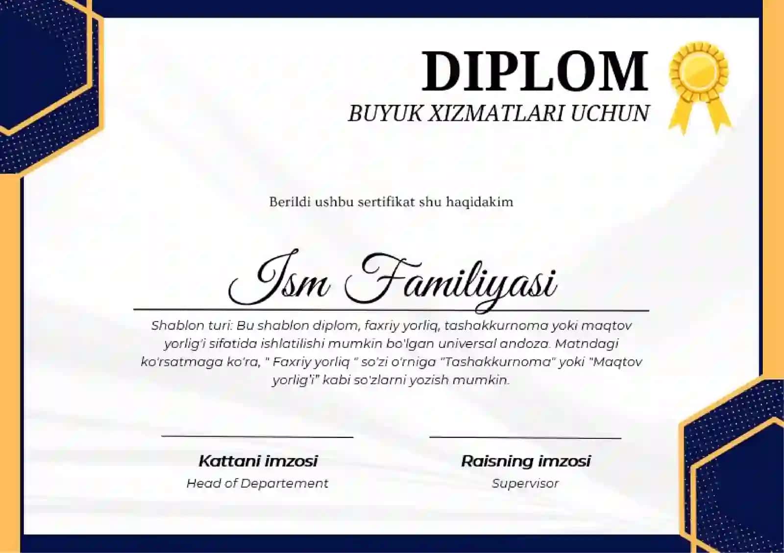DIPLOM 2