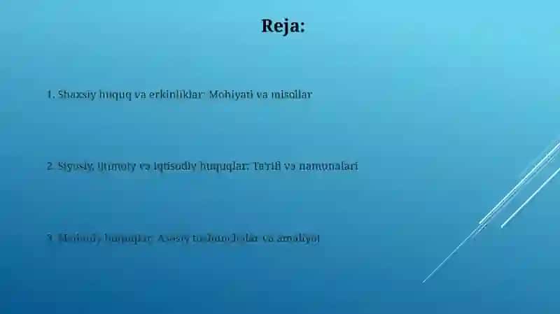 Shaxsiy huquq va erkinliklar 2