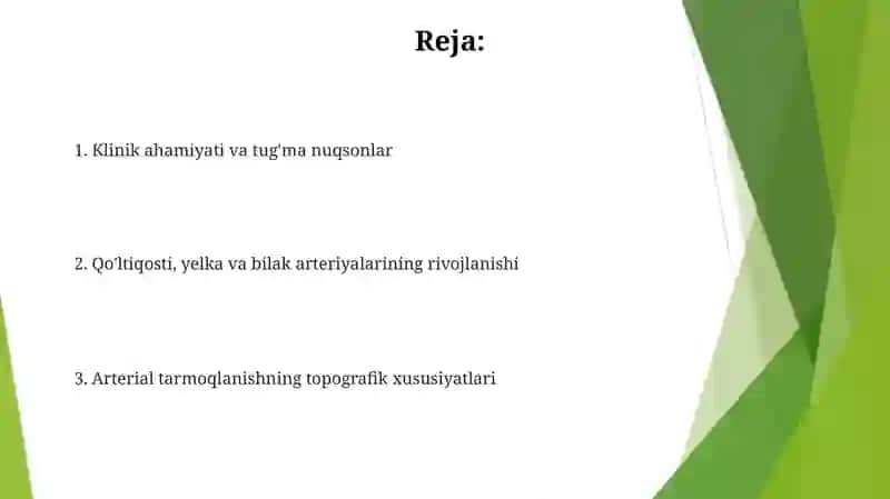 Qo'ltiq osti, yelka va bilak arteriyalarining rivojlanishi 2