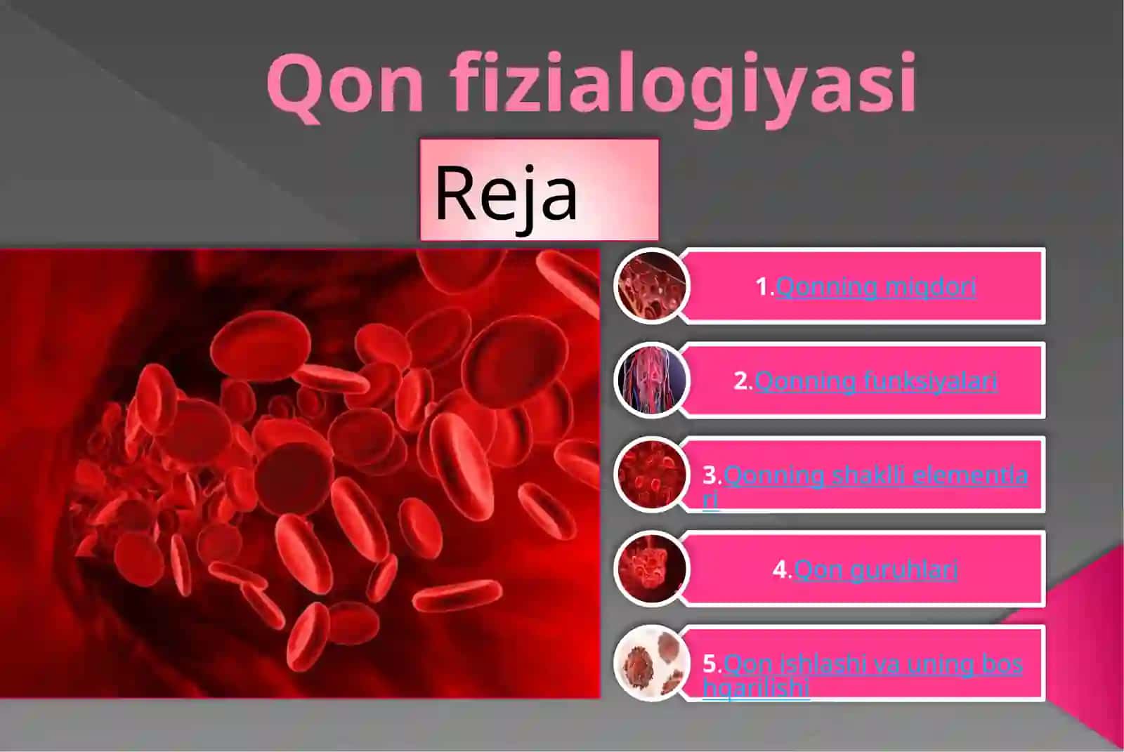 Qon fizialogiyasi 2