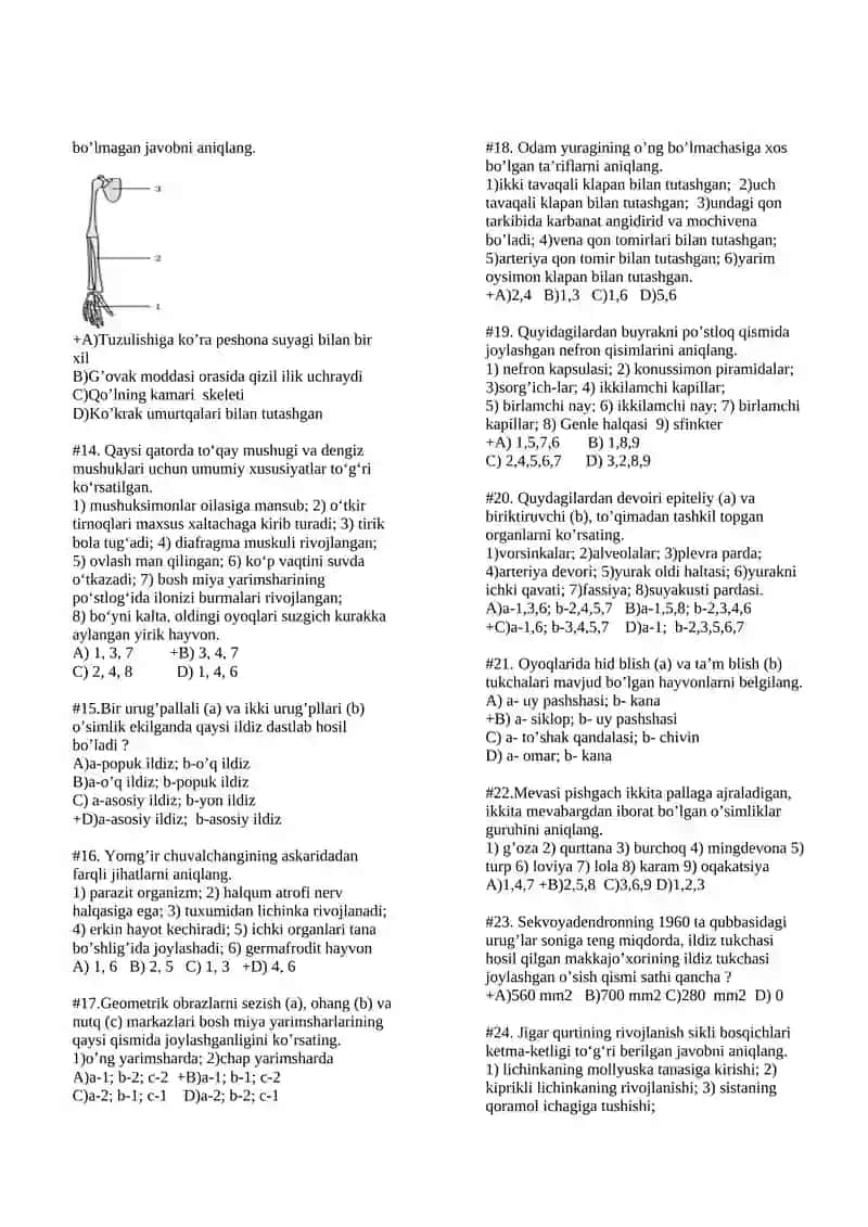 So’lom odamning chap qo’li suyaklari va muskullariga oid test savollari 2