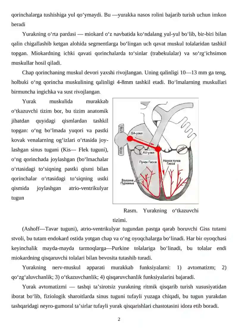Yurak-qon tomir tizimini tadqiq qilishning klinik usullari 2