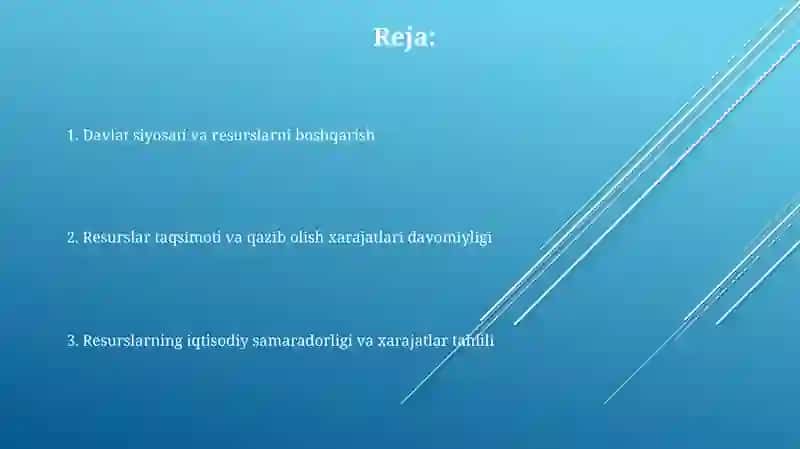 Davlat siyosati va resurslarni boshqarish 2