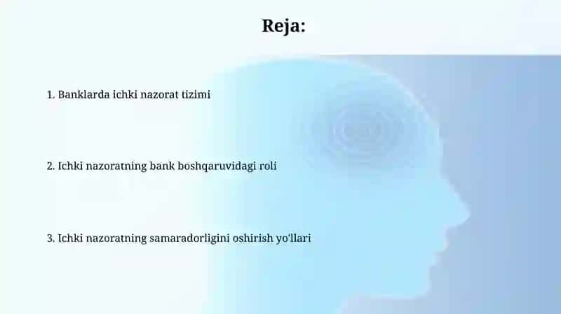 Ichki nazorat tizimi 2