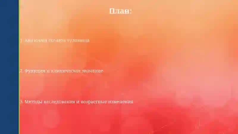 Презентация "Скелет туловища" 2