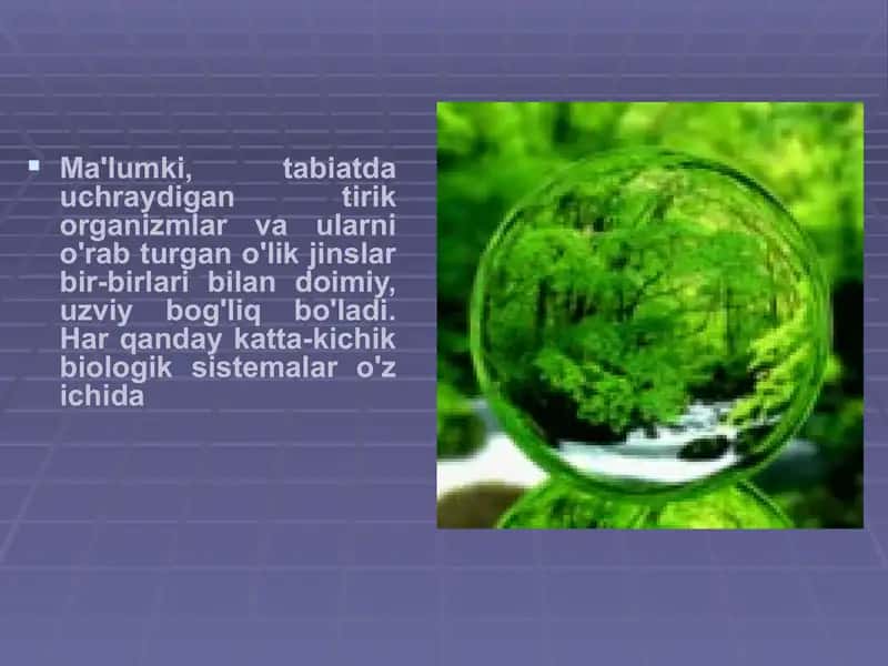 Ekotizimlar 2