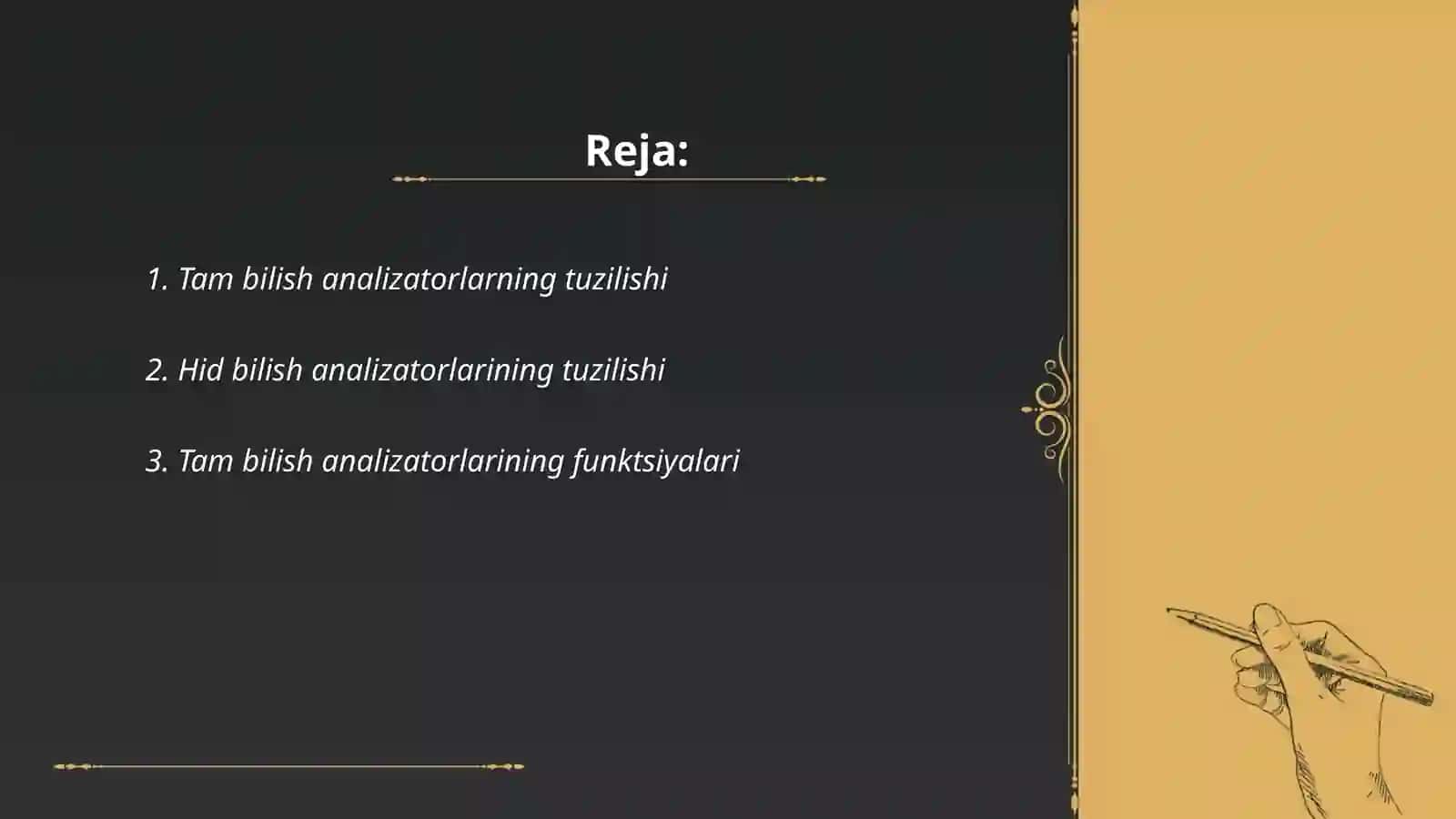 Tam va hid bilish analizatorlarning funksional anatomiyasi 2