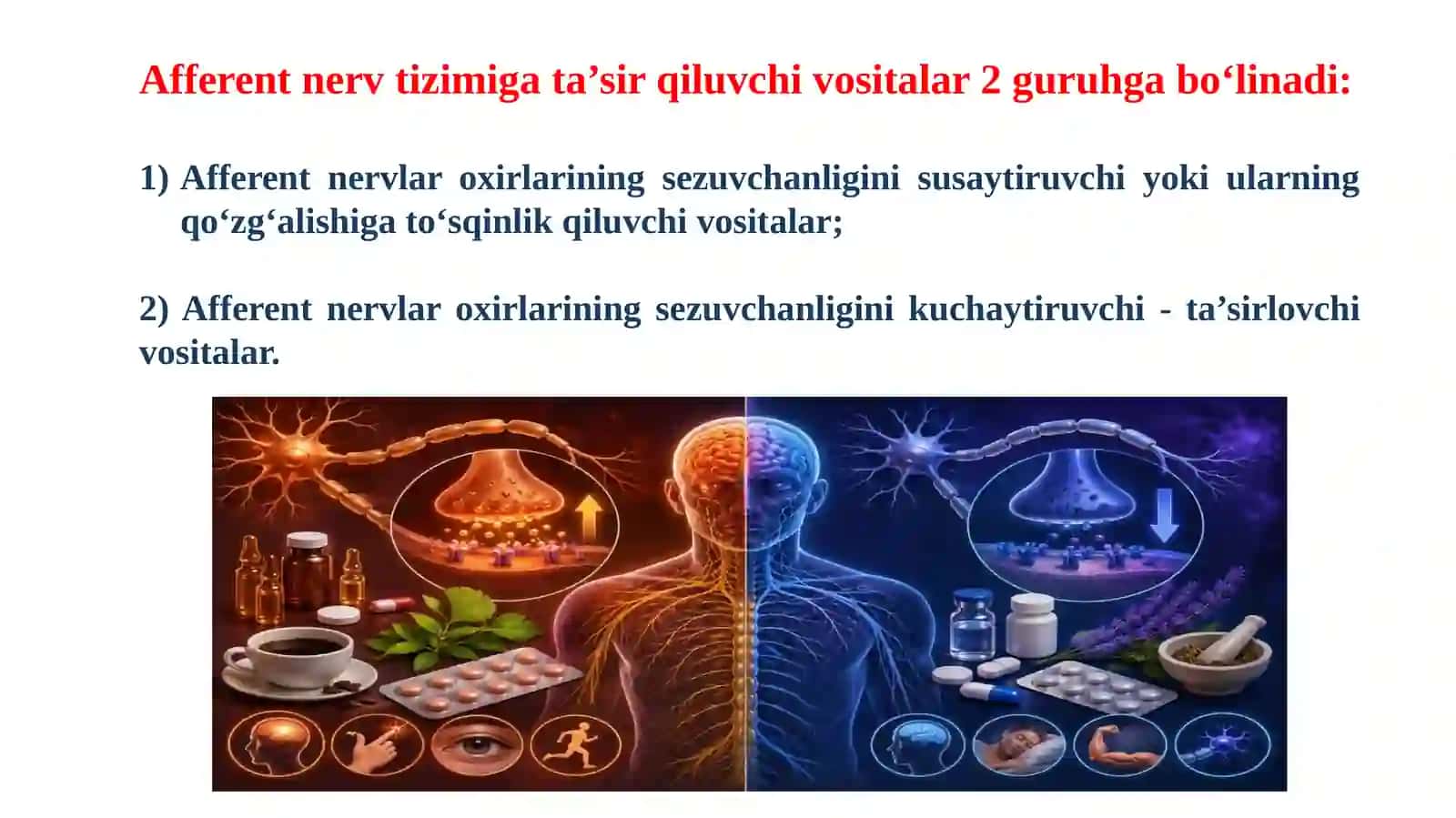 Afferent Nerv Tizimiga Ta'sir Etuvchi Vositalar 2