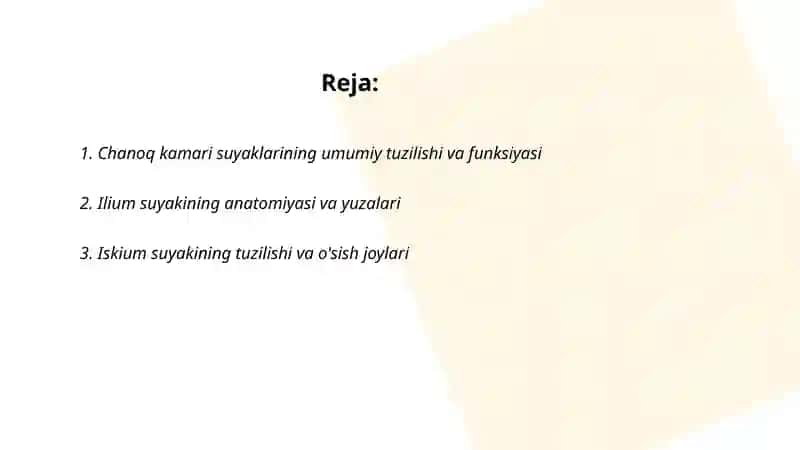 Chanoq kamari suyaklari va ularning birikishi. Oyoqning erkin suyaklari tuzilishi 2