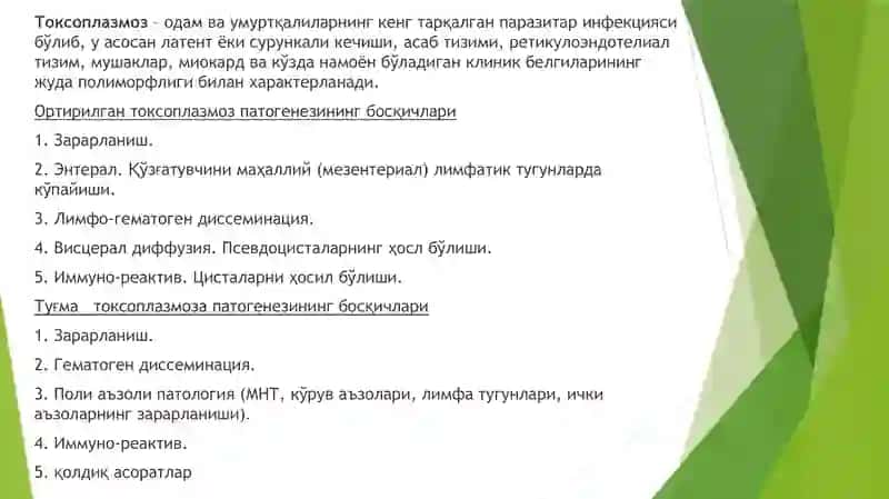 ТОRCH инфексияси 2