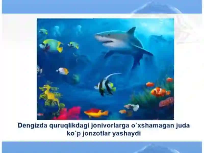 Dengiz jonivorlari 2