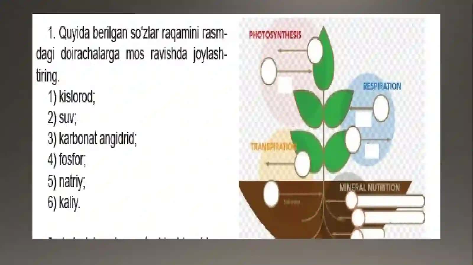 MANTIQIY FIKRLASH TOPSHIRIQLAR 2