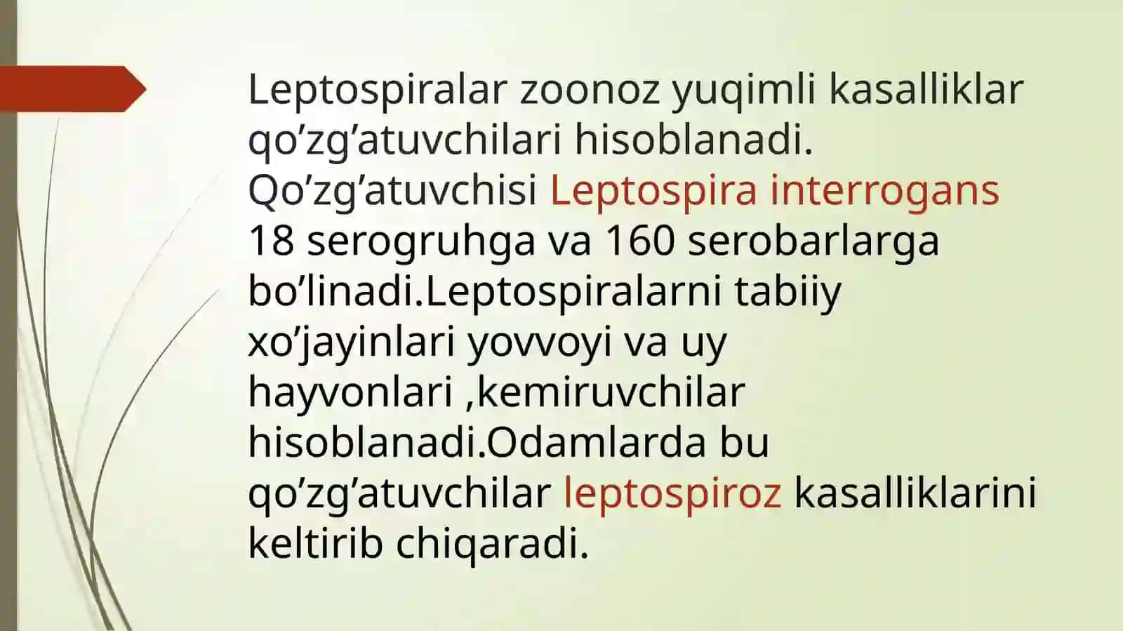 LEPTOSPIROZLARMORFOLOGIYASI,STRUKTURASI,TARQALGANLIGINI KELTIRIB CHIQARUVCHI KASALLIKLAR LABARATORIYA DIAGNOSTIKASI 2