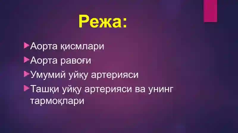 Аорта. Аорта равоғи. Умумий уйқу ва ташқи уйқу артерияси. 2