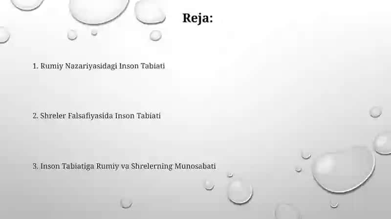 Jaloliddin Rumiy va M.Shelerning inson tabiatiga oid qarashlarini tahlil etish 2