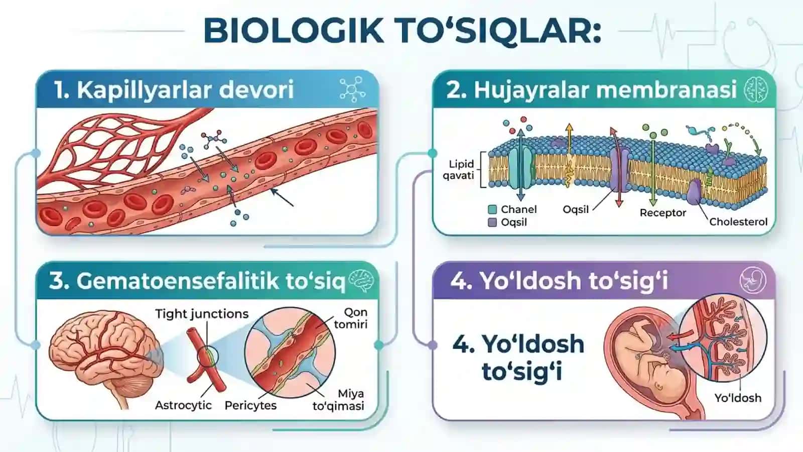 Farmakokinetika. Taqsimlanish bosqichi. 2