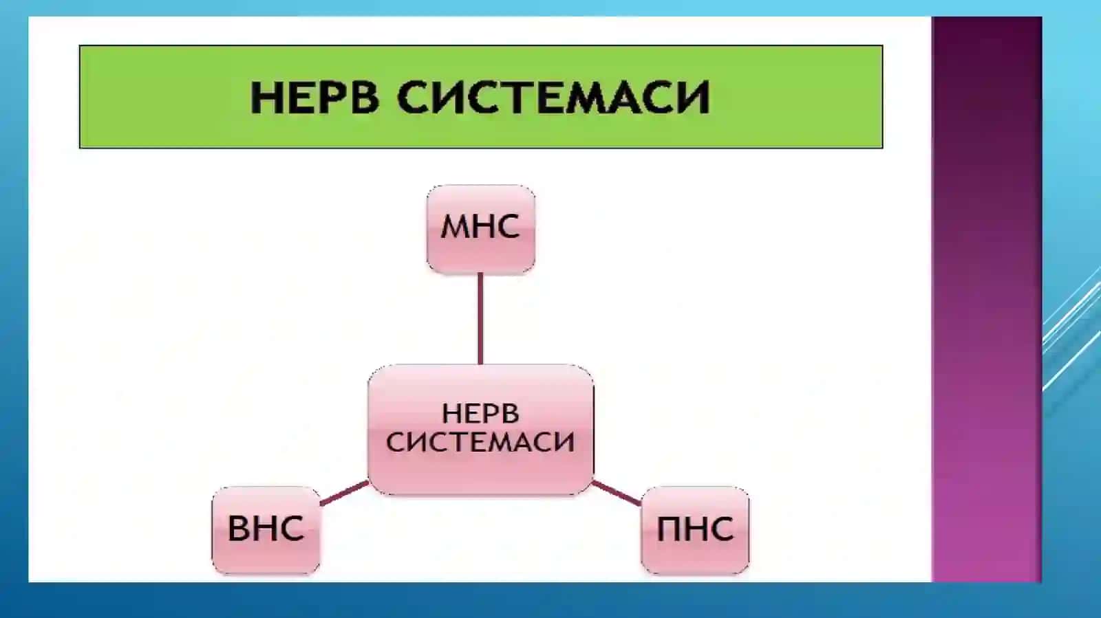 Харакат ва сезги бузилишлари 2