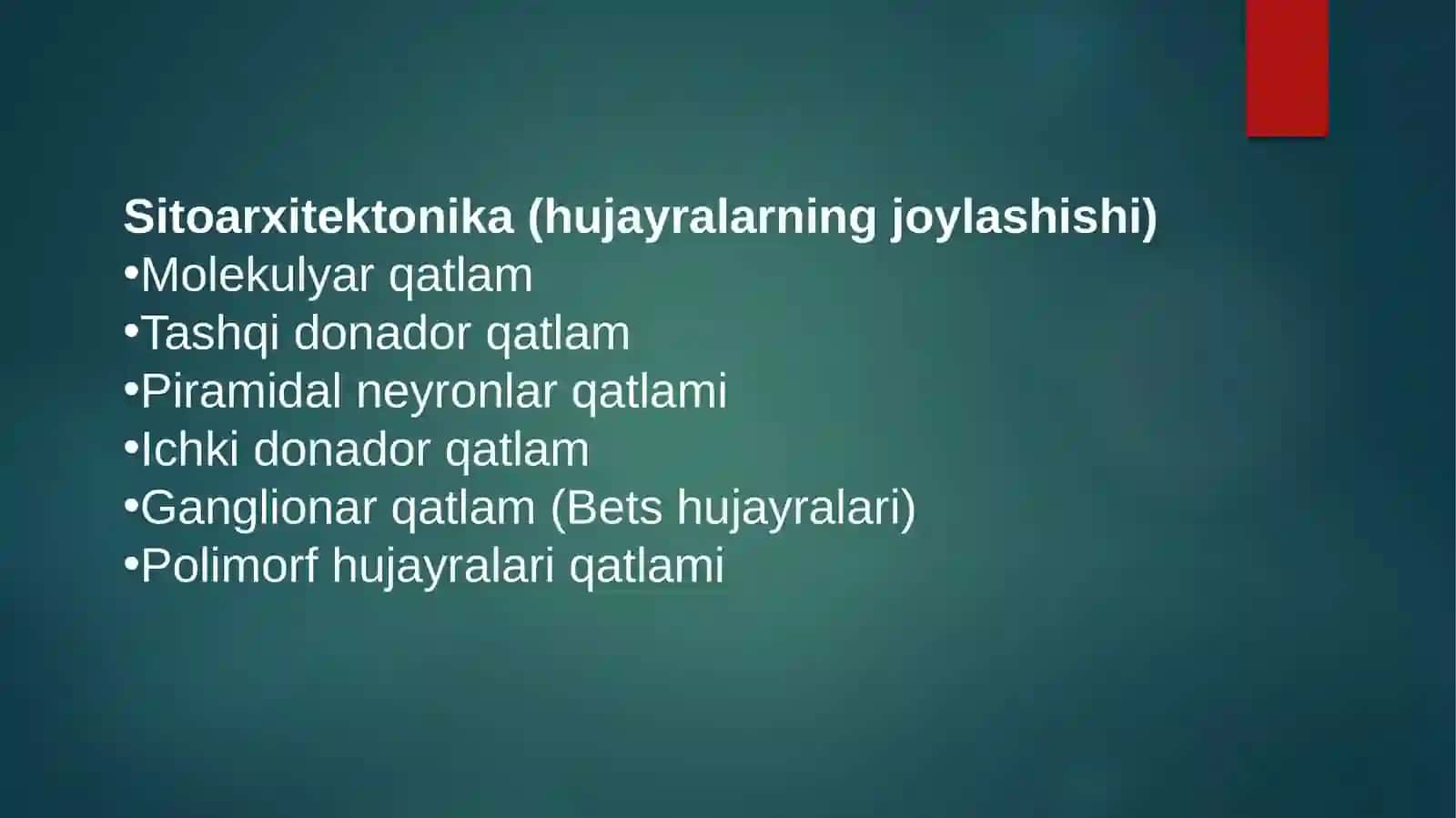 Miyayarimkorteksi 2