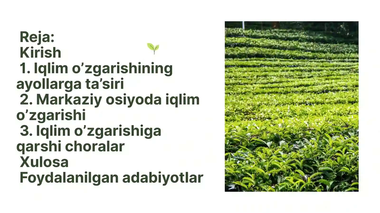 Iqlim o‘zgarishi va uning oqibatlari 2
