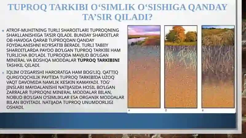 Tuproq tarkibi va o'simlik o'sishi 2-qism 2
