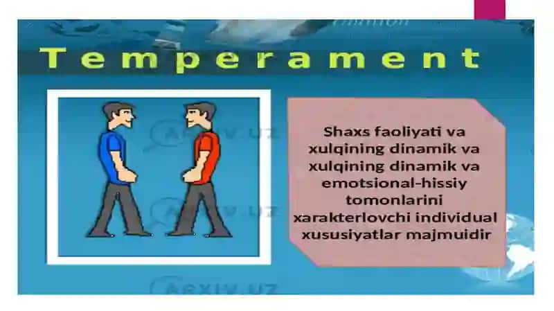 TEMPERAMENT 2