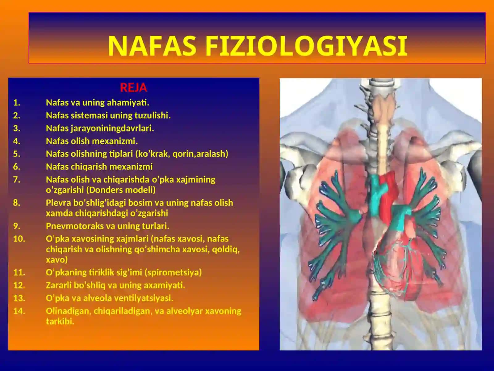 NAFAS A’ZOLARIFIZIOLOGIYASI 2