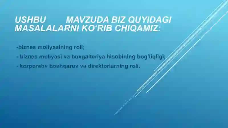 Biznes Moliyasi 2