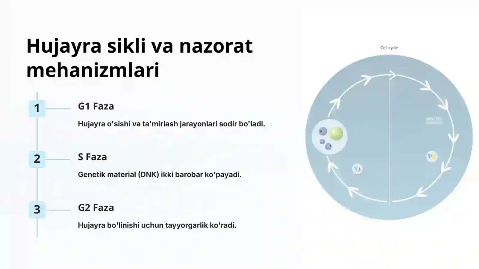 Hujayra sikli va nazorat mehanizmlari 2